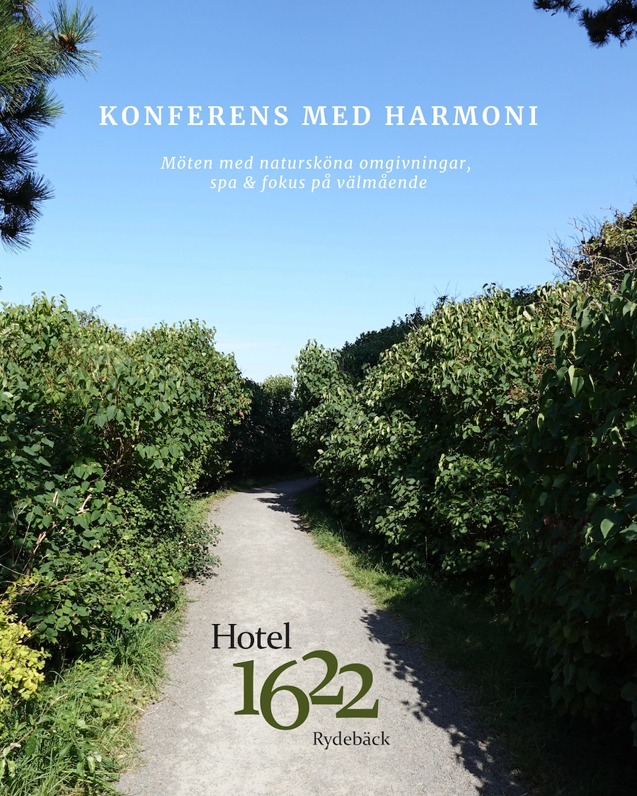 Text: Konferens med harmoni - Bilden visar en grusväg mellan gröna träd