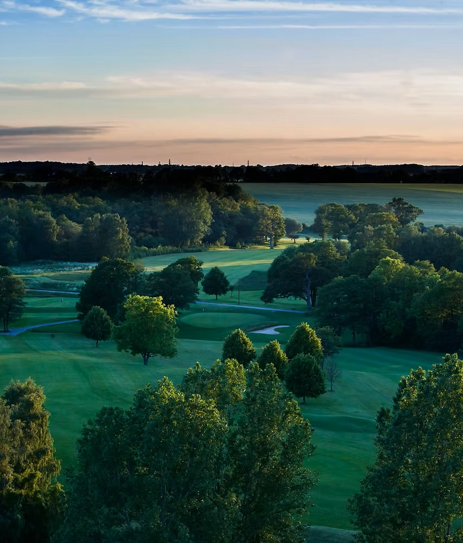 Bild över träden på golfbana Söderåsens GK